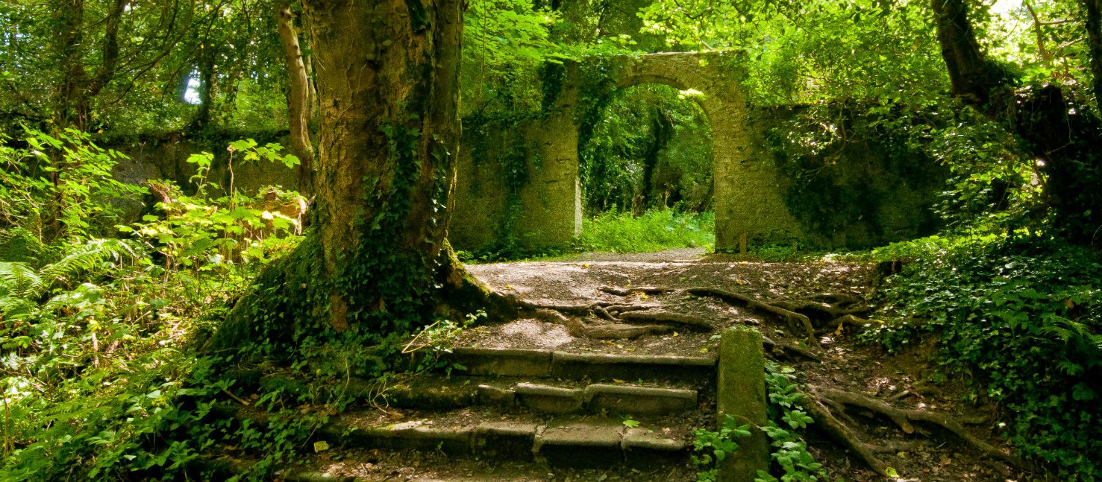 Castle gate & Gardens, accommodation by Discover Ireland Tours Destination Management Company