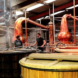 Enjoy a trip to the Dingle Distillery in County Kerry organised by your Irish DMC specialist 